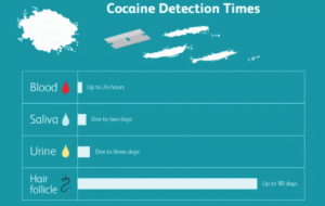 Cocaine Detection Times